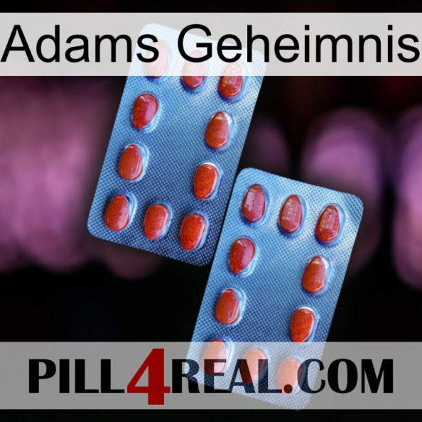 Adams Secret 05.jpg